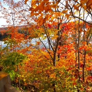 Meet your Posher, Superior